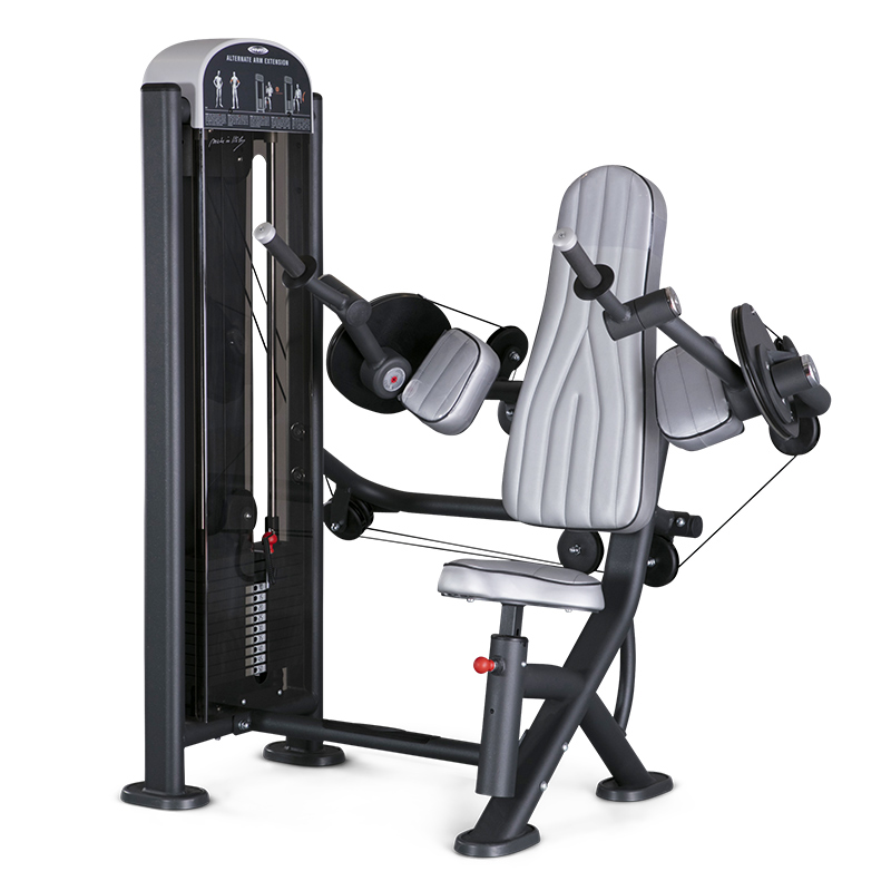 Alternate Arm Extension Machine