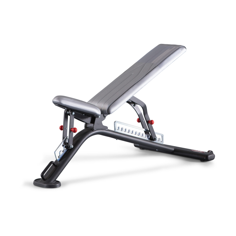 Fully Adjustable Bench
