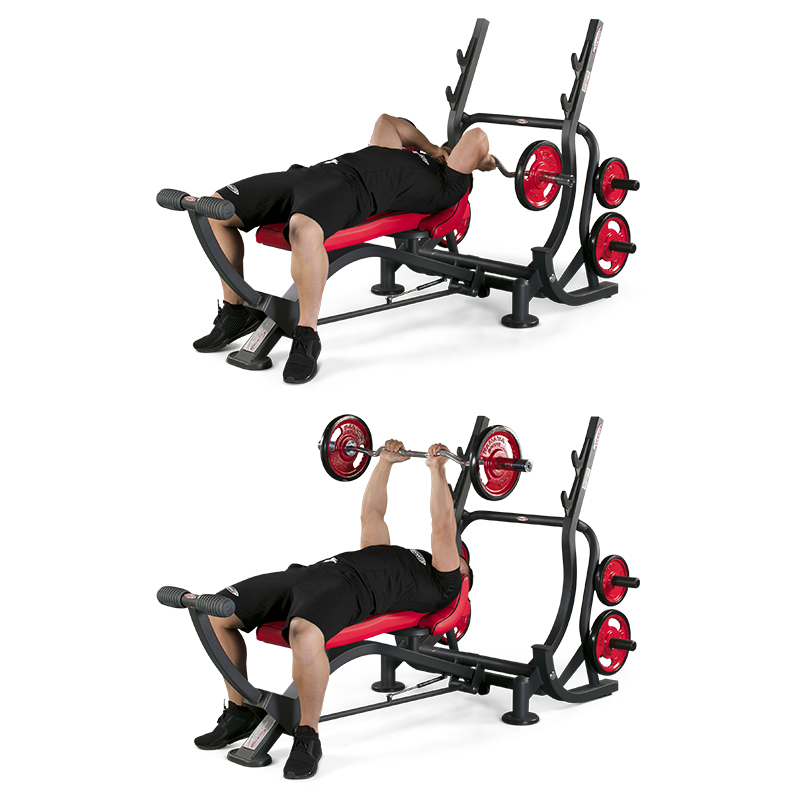 Triceps Bench Press 1hp214 Panatta Australia Panatta Australia