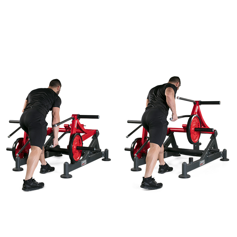 Squat Lunge 1HP590 Panatta Australia