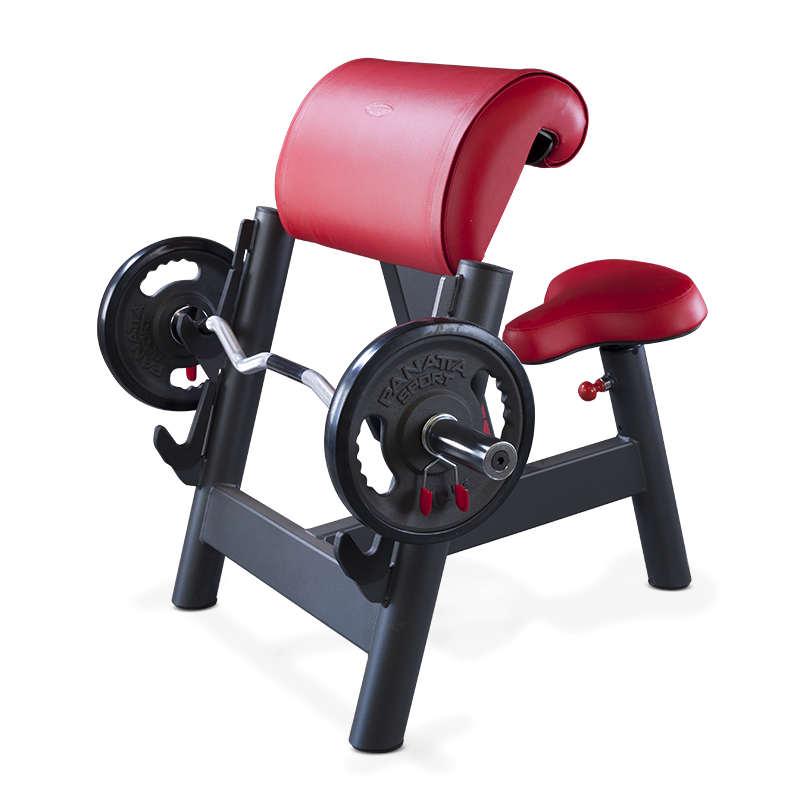 Seated Curl Bench