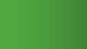 Frame - Green Color Option