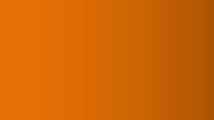 Frame - Orange Color Option