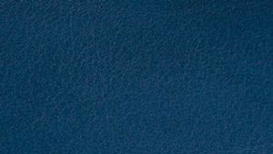 Padding - Deep Blue Color Option
