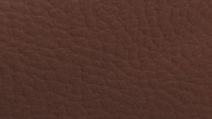 Padding - Brown Color Option