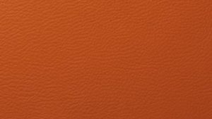 Padding - Orange Color Option