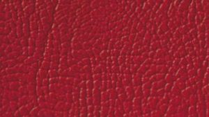 Padding - Red Color Option