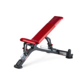 Fully Adjustable Bench - 1HP201