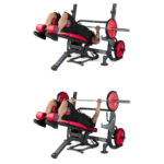 Olympic Multi-Purpose Bench Press - 1HP206