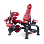 Seated Leg Curl Machine - 1FW183