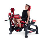 Seated Leg Curl Machine - 1FW183