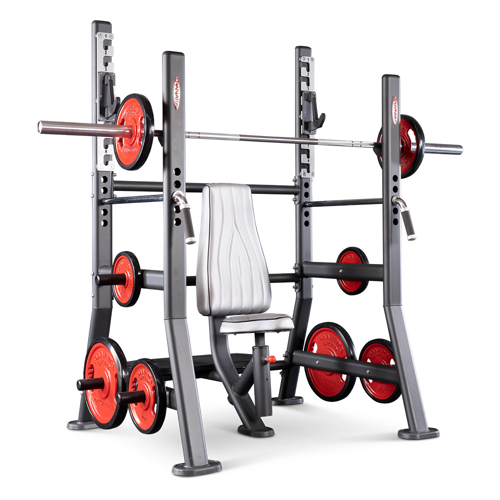 Adjustable Back Extension Bench, Panatta