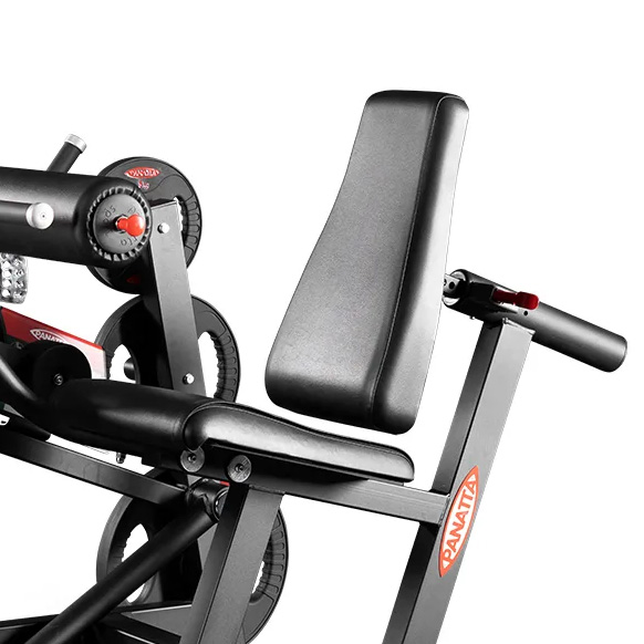 Seat and Back Support